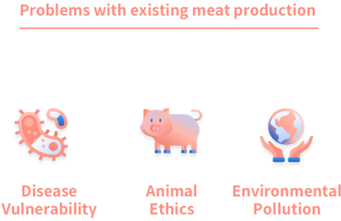 기존 육류 생산방식의 문제점
