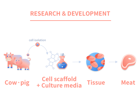 Research & Development